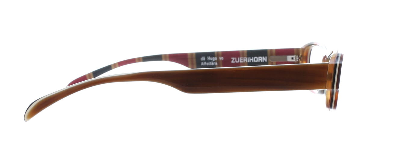 Zuerihorn, Hugo M6 braun/bunt