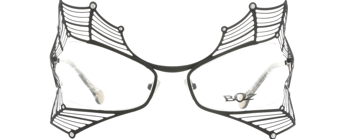 BOZ Frames & Fun, Scandale 0000