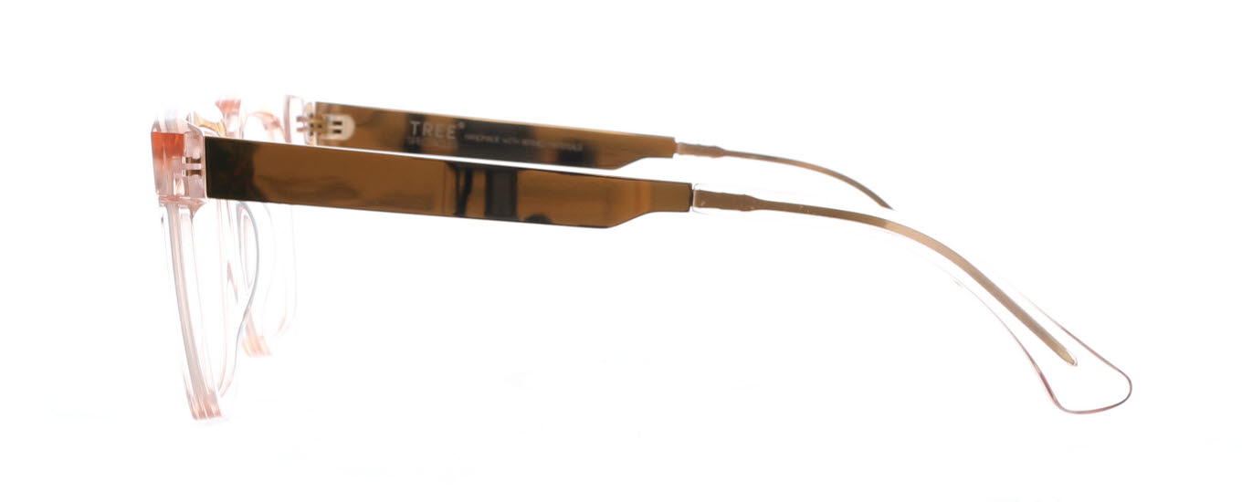 Tree Spectacles, Baucis 2446