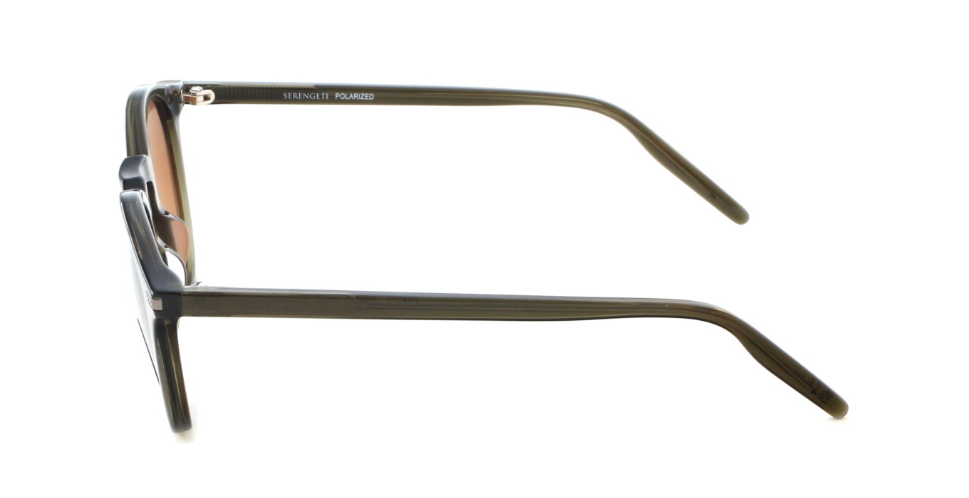 Serengeti, Raffaele SS041004