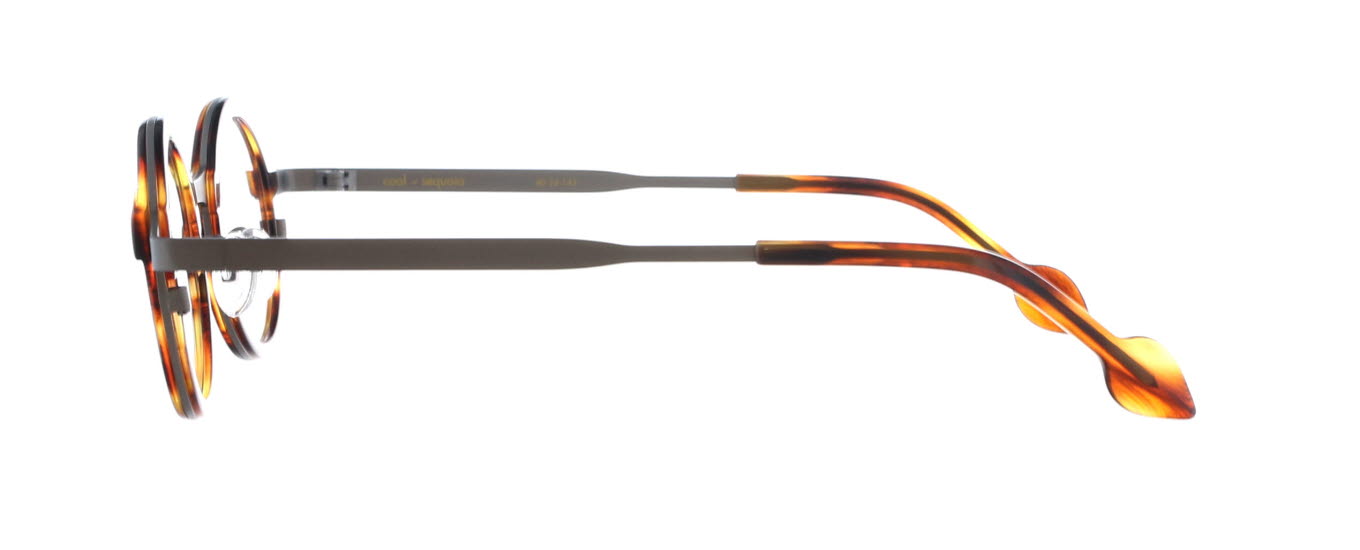 Komorebi, Coal Sequoia