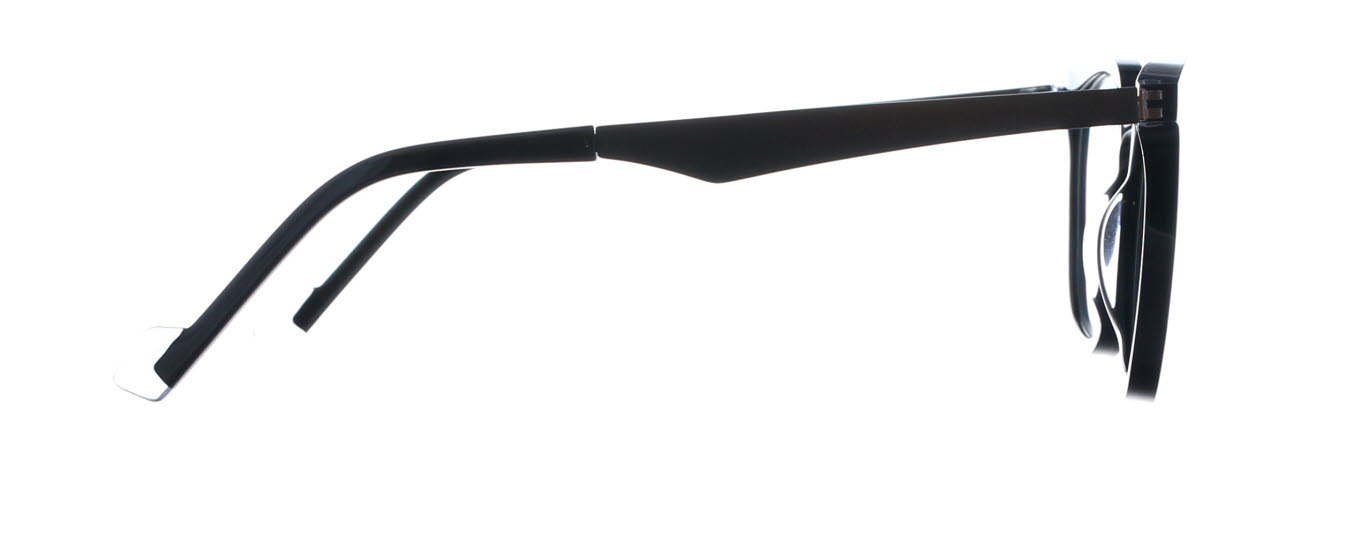 Tree Spectacles, Fedor 3512