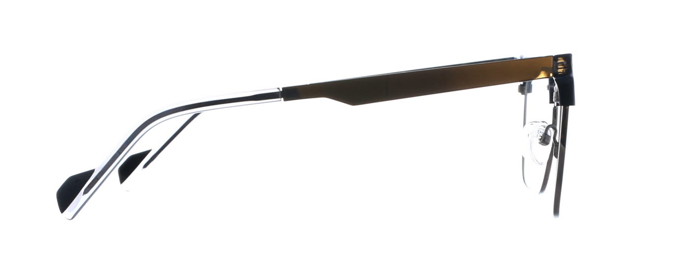 Tree Spectacles, Barrett 3454