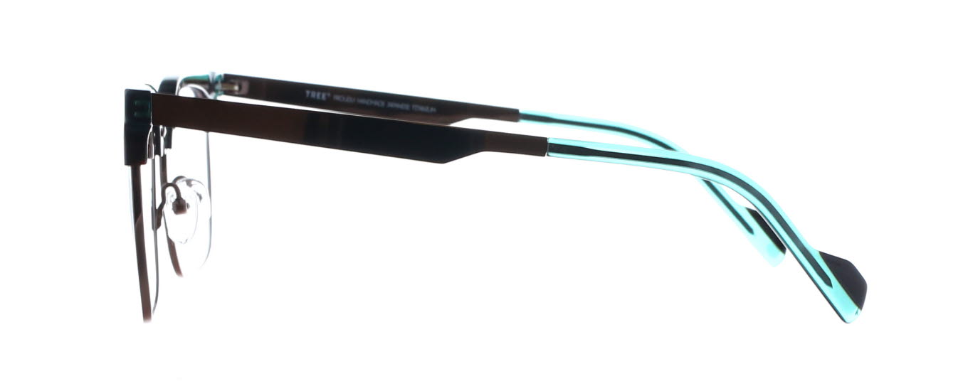 Tree Spectacles, Barrett 3453