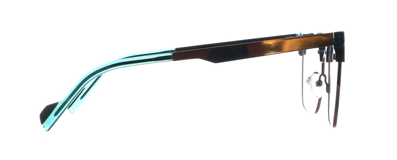 Tree Spectacles, Barrett 3453