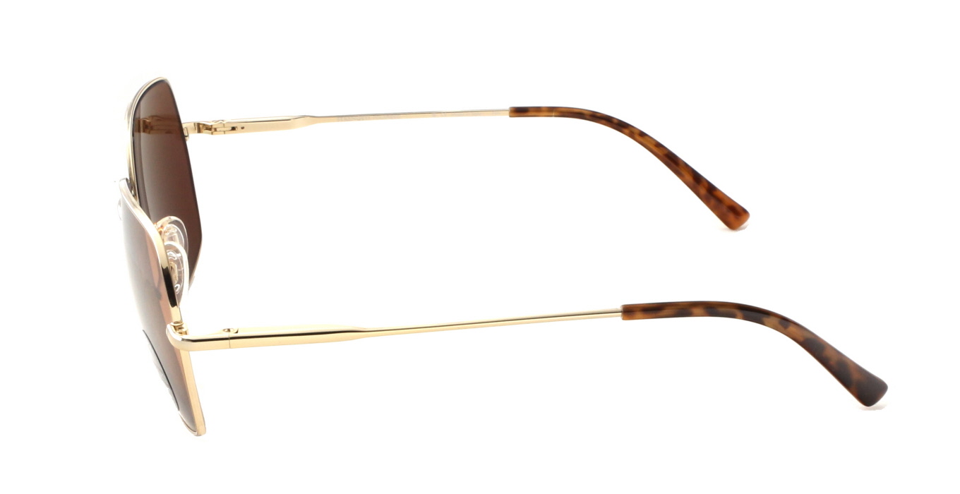 Serengeti, Loy SS548003