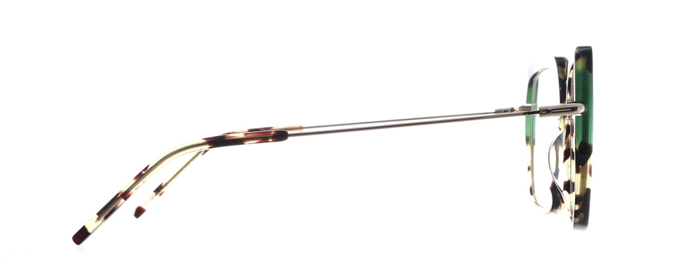 Kaleos, Denunzio 004